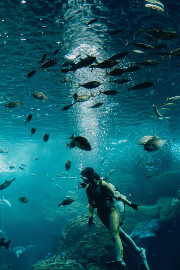 大水槽の中、魚の群れと光の筋に包まれて泳ぐダイバー